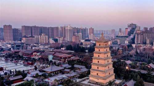 上海代孕机构包成功,到俄罗斯做试管婴儿第三代多少钱(上海九院第三代试管大