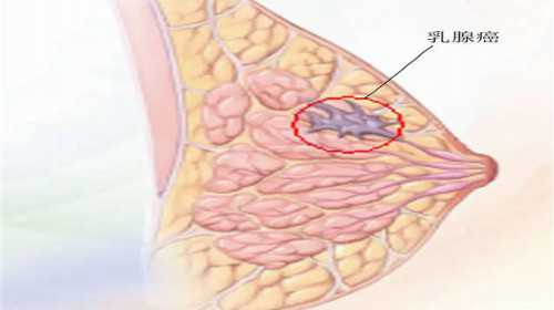 上海代孕包女孩,北京三代试管费用明细查询最新版-上海供卵试管公司有哪些
