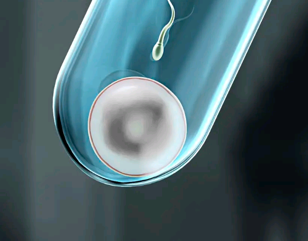 上海正规医院做b超费用公布，上海六院全程只需要这个数