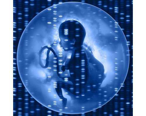 上海怎么找借腹生子中介,上海供卵试管价格多少钱,【上海代孕基地，孕育奇迹