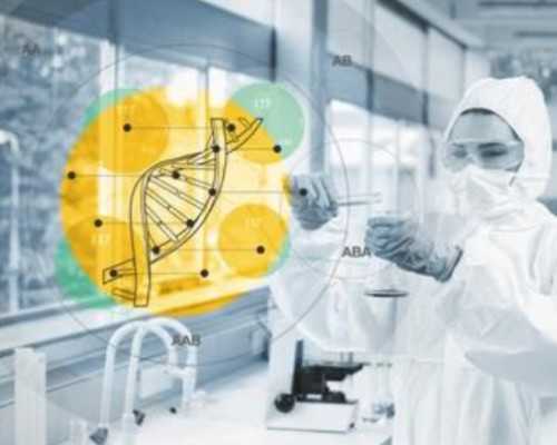 上海怎么找借腹生子中介,上海供卵试管价格多少钱,【上海代孕基地，孕育奇迹