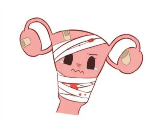 上海供卵试管医院不排队