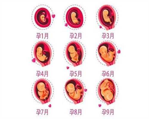 上海正规合法代孕,怀孕后，做了这4件事的孕妇，