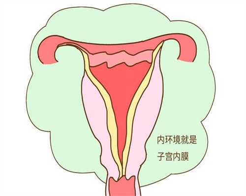 上海二胎代孕_上海试管成功代孕_上海试管代孕价格明细