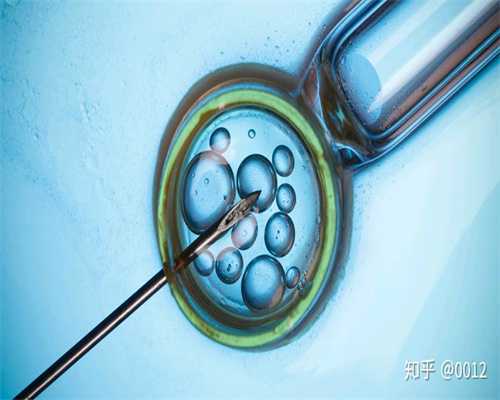 上海人工代孕`上海哪家代孕靠谱`上海试管代孕什么时候去检查