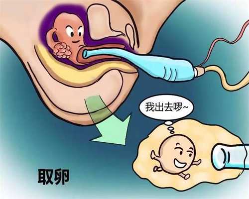上海代孕，上海代怀孕网供卵，上海代孕生子要多少钱