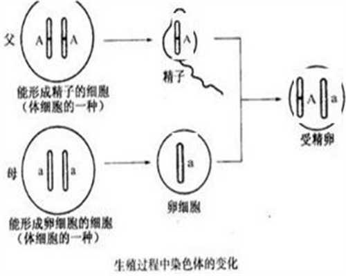 上海代生子-上海代孕产子靠谱吗-上海代孕的机构有哪些