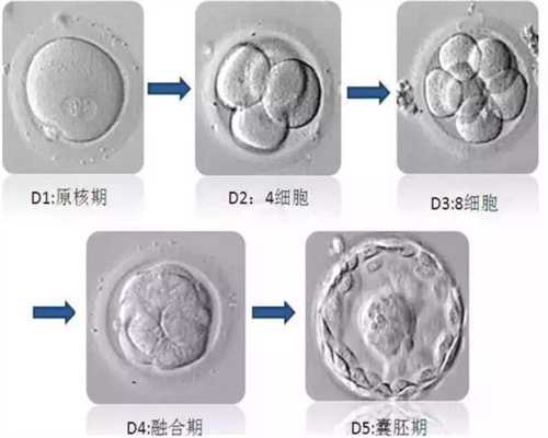 上海找个代孕的,上海哪地方代孕权威【选择上海代孕，圆妈妈梦】