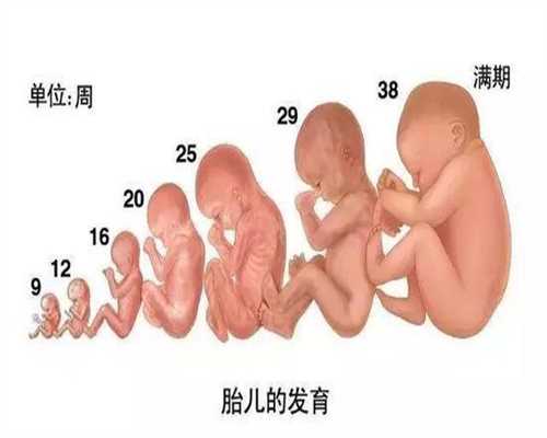 上海取卵代孕-上海那一家做代孕权威【赞美生命，爱心代孕】