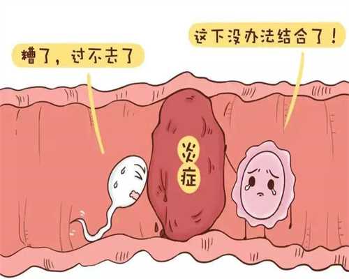 上海代孕咨询_怎么找到代孕女人_单身找代孕