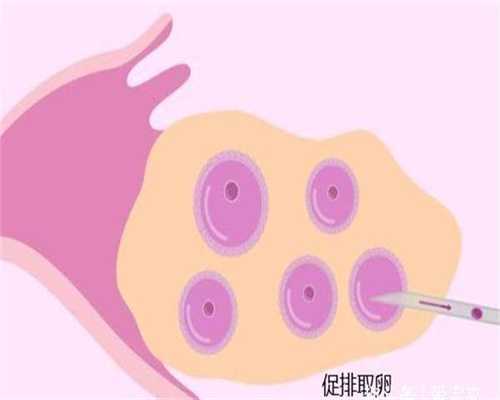 上海代孕价格_专业助代怀孕包成功_添一助孕中心