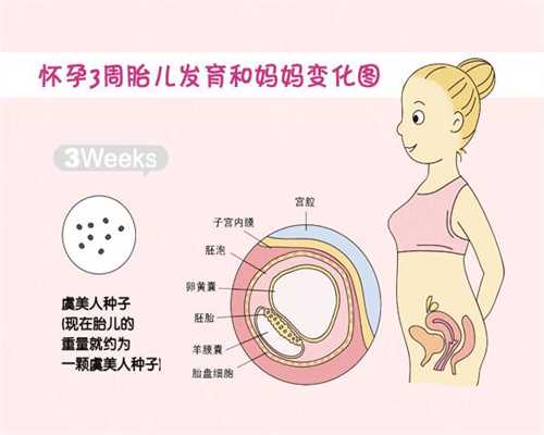 做代孕哪家专业-上海三代试管供卵助孕费用_如何判断试管婴儿的成功率？海外