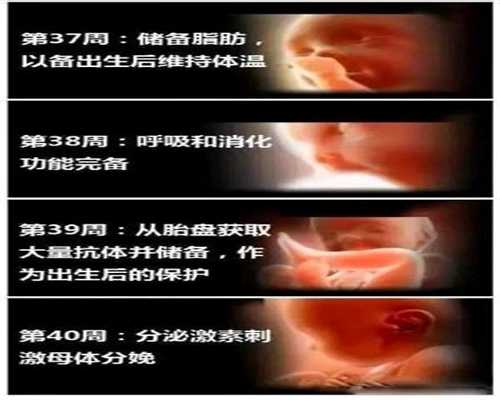 上海有供卵的生殖中心-哪里可做代孕_卵巢功能减退，是谁的错？